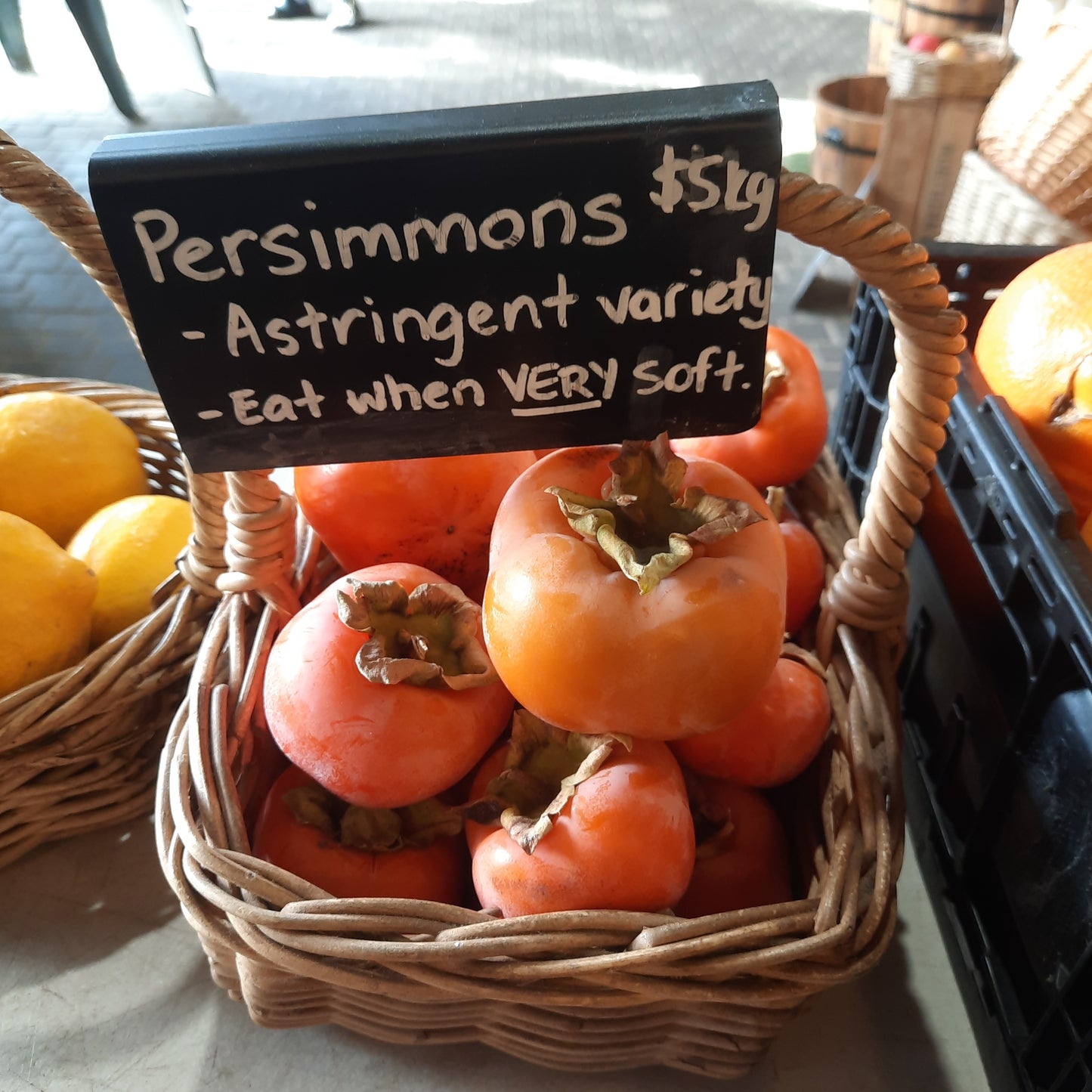 Astringent Persimmons (kg)