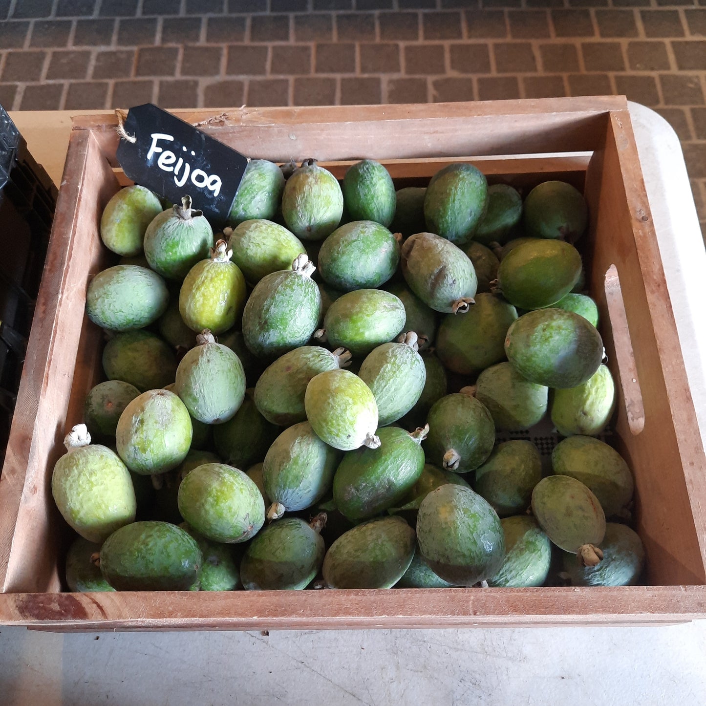 Hillside Harvest Feijoa (ea)