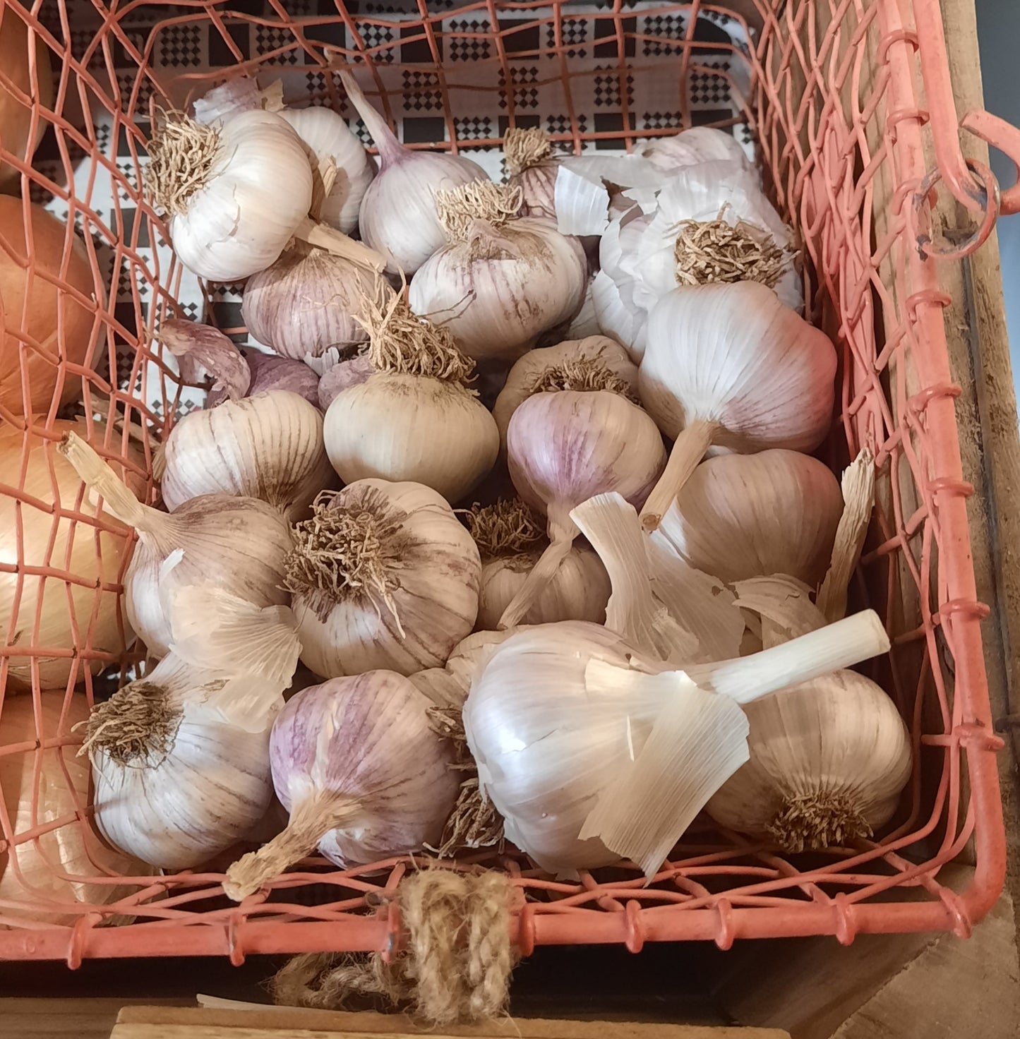 Local Garlic Bulb (250g)