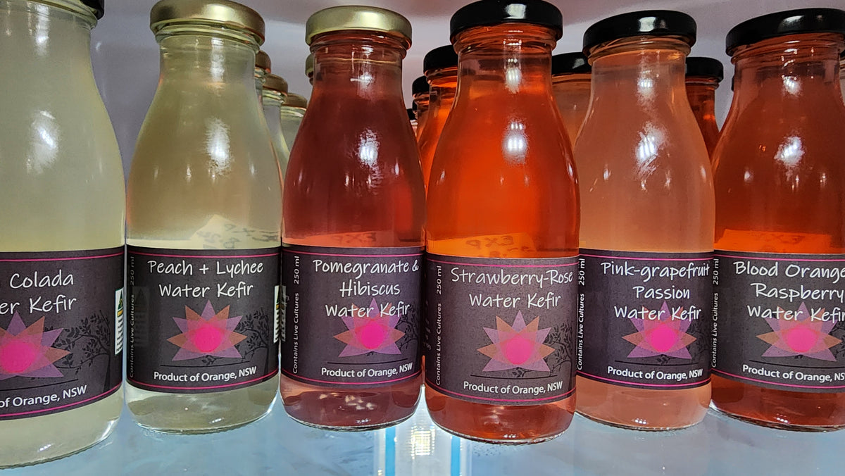 Water Kefir - Pina Colada (Pineapple, Coconut, Lemon, Lime) (250mL)