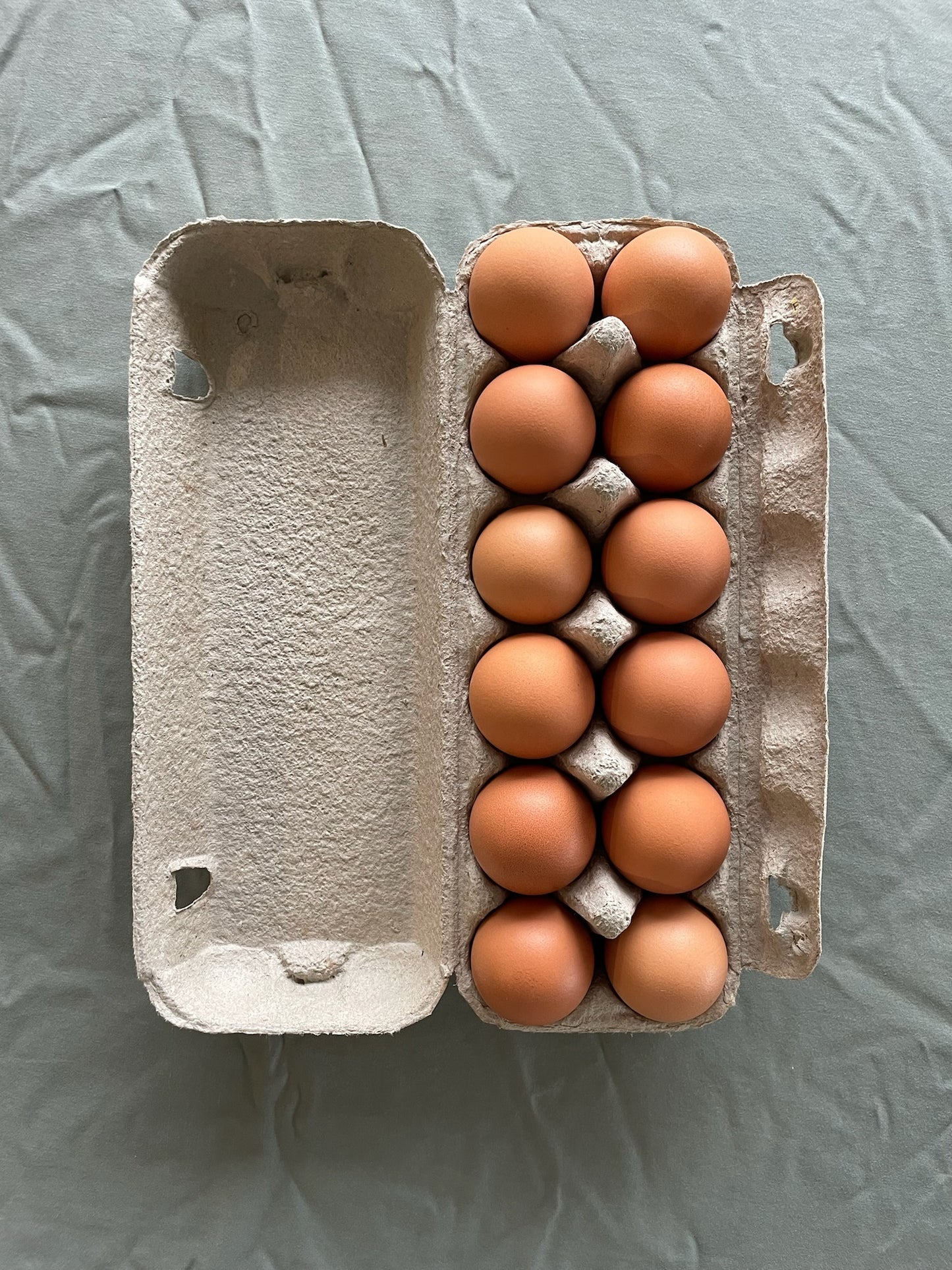 Fresh Free Range Eggs (Dozen)