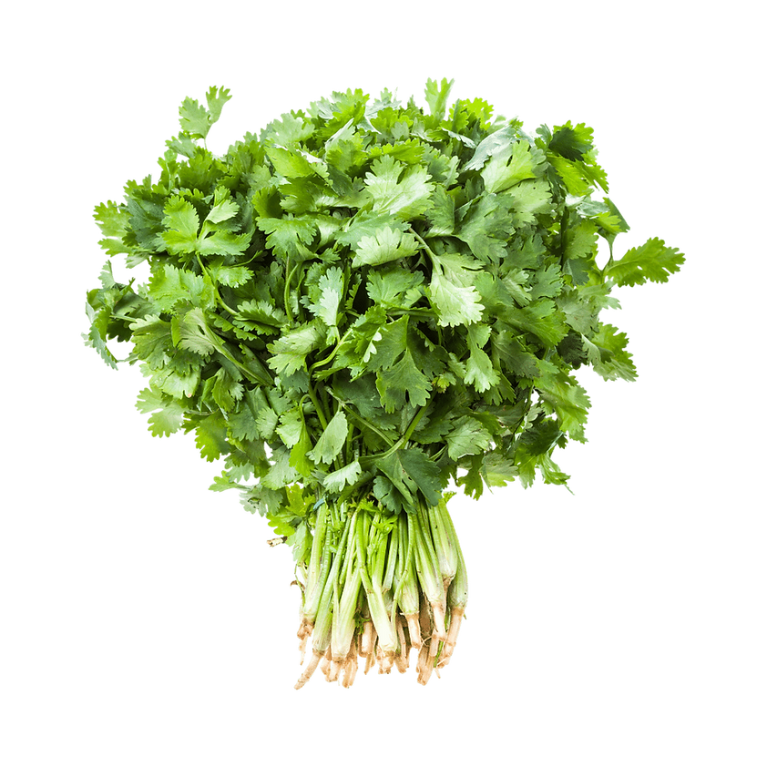 Coriander (bunch)