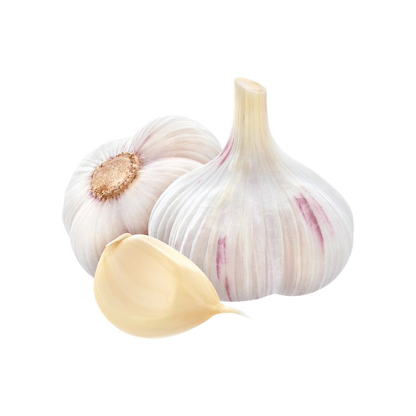 Australian Garlic (1 bulb)