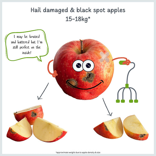 Perfectly Imperfect Apple Box