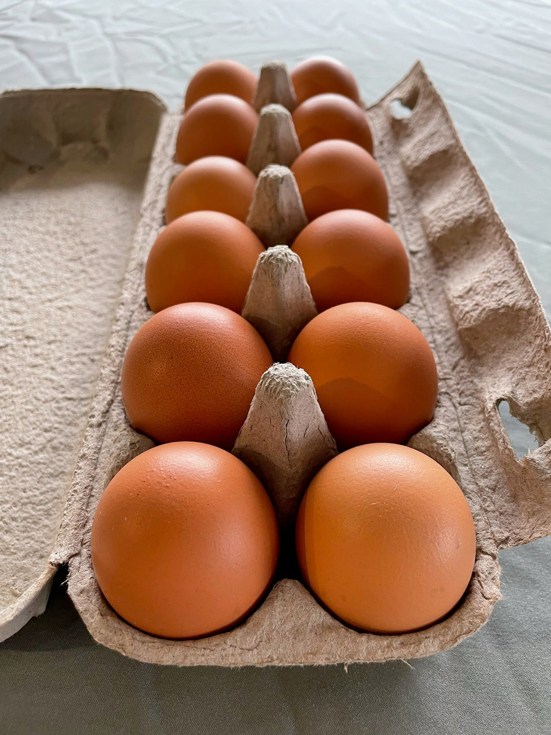 The Egg You Cracked This Morning Has Already Lost Nutrients