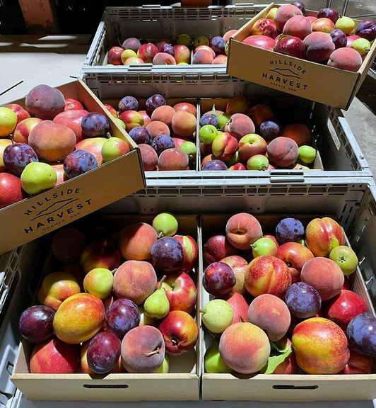 Beyond the Fruit Bowl: Creative Ways to Make the Most of Orange's Summer Stone Fruit Season