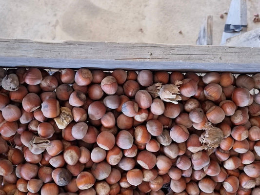 YourMarket Producer of the Month (June 25) - Jean & Basil from Fourjay Farms