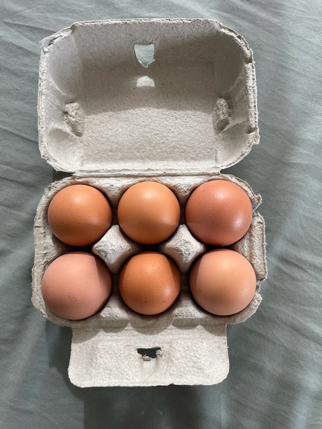Fresh Free Range Eggs (Half Dozen, 300g)