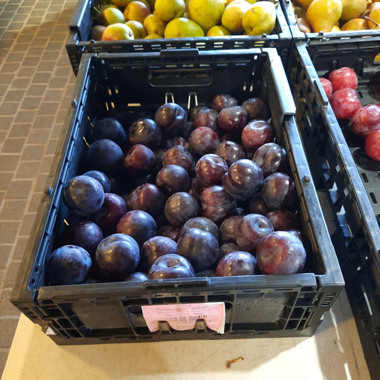 Hillside Harvest Plums