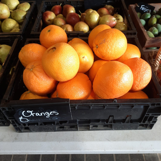 Hillside Harvest Oranges