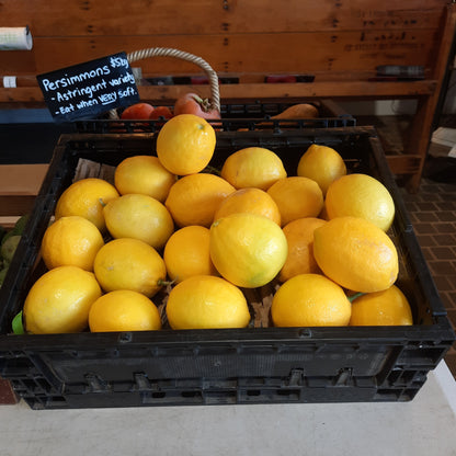 Hillside Harvest Lemons