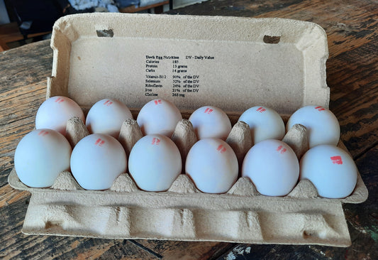 Farm Fresh Duck Eggs