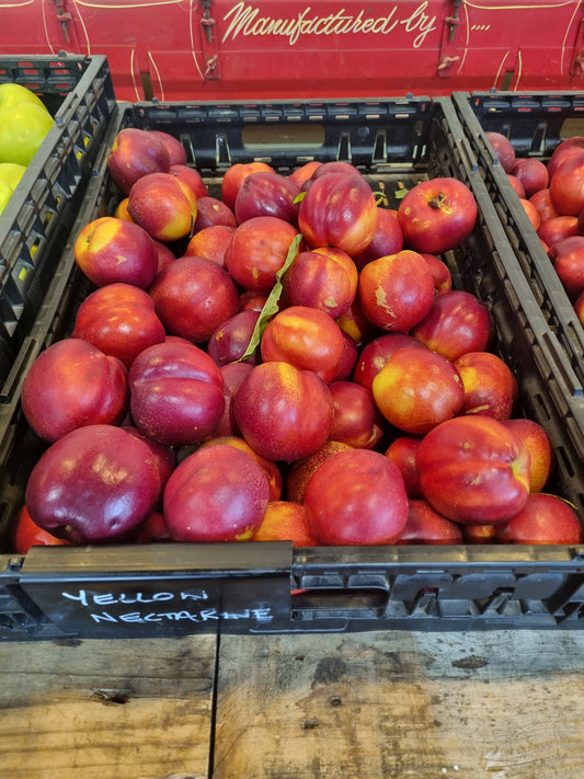 Nectarines - New Season