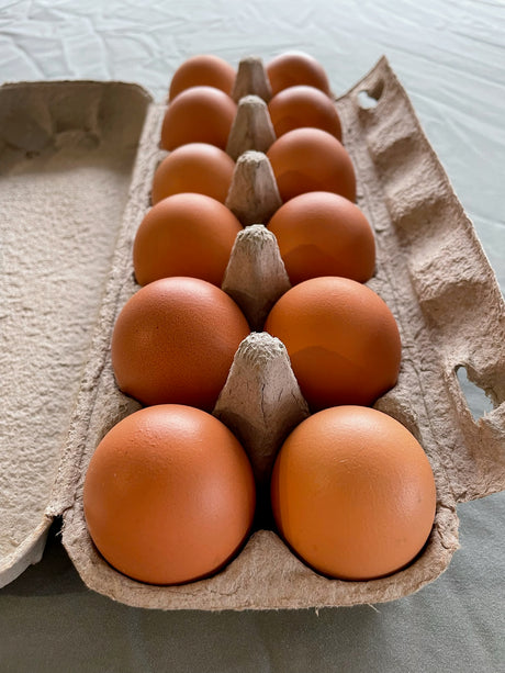 Fresh Free Range Eggs (Dozen)