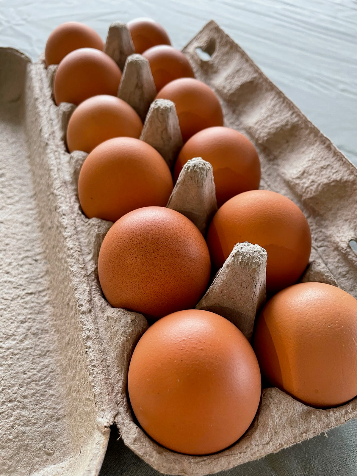 Fresh Free Range Eggs (Dozen)