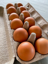 Fresh Free Range Eggs (Dozen)