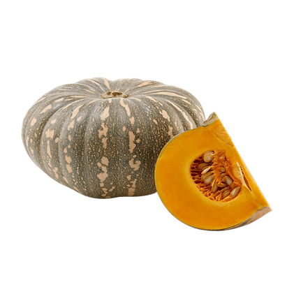Jap / Kent Pumpkin (ea)