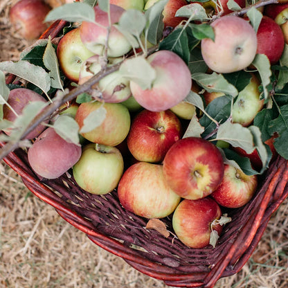 Hillside Harvest Apples