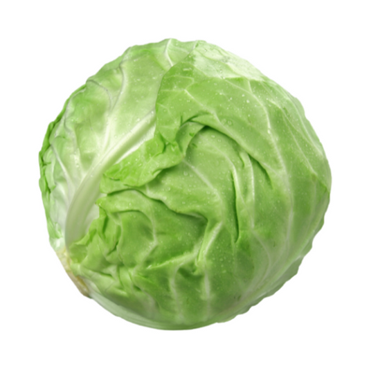 Cabbage