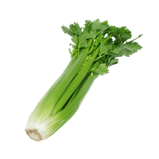 Celery