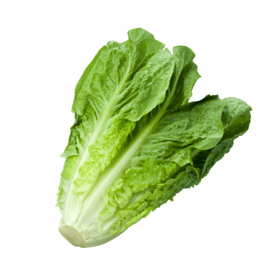 Cos Lettuce