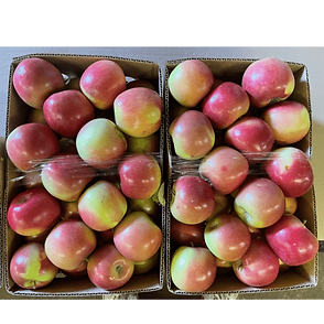 Fuji Apples - New Season