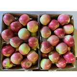 Fuji Apples (7.5kg)