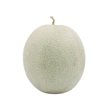 Honeydew Melon (ea)