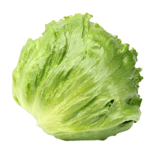 Iceberg Lettuce