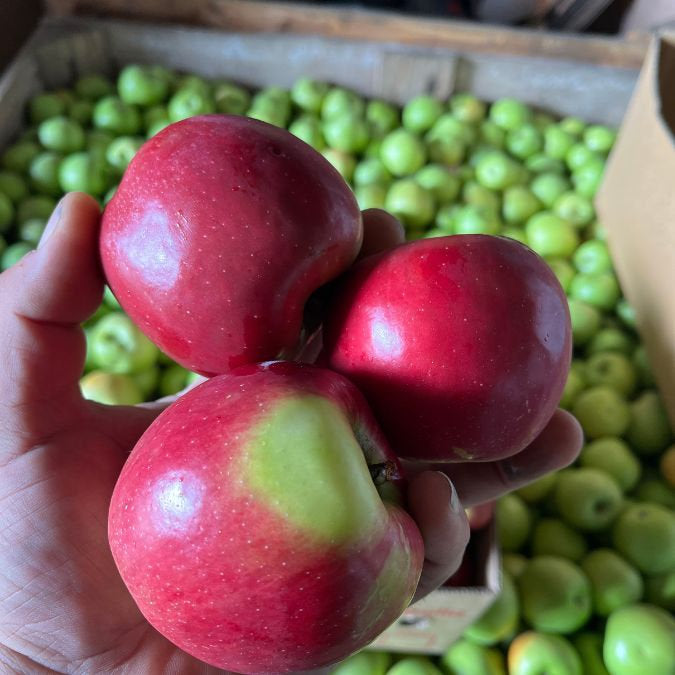 Jonothan Apples (kg)