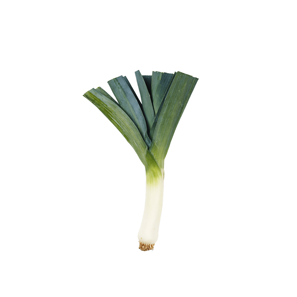 Leek (ea)