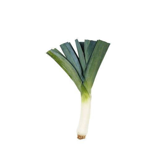 Leek (ea)
