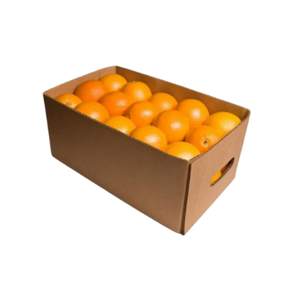 Navel Oranges