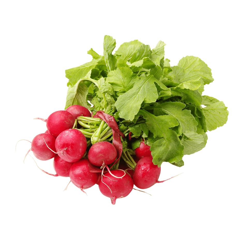 Radish (bunch)