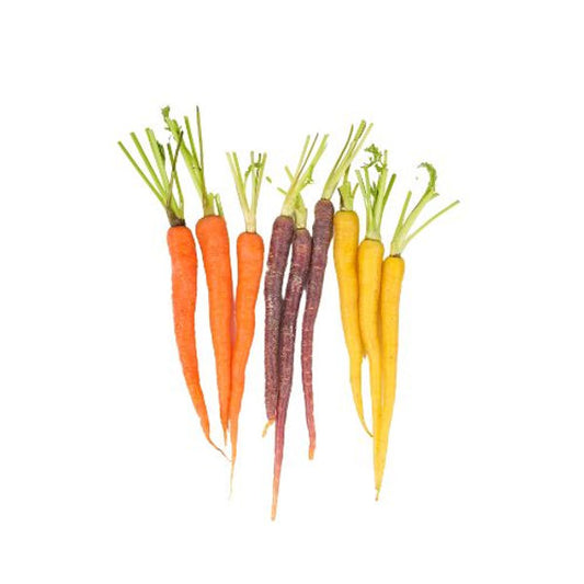 Rainbow Dutch Carrots