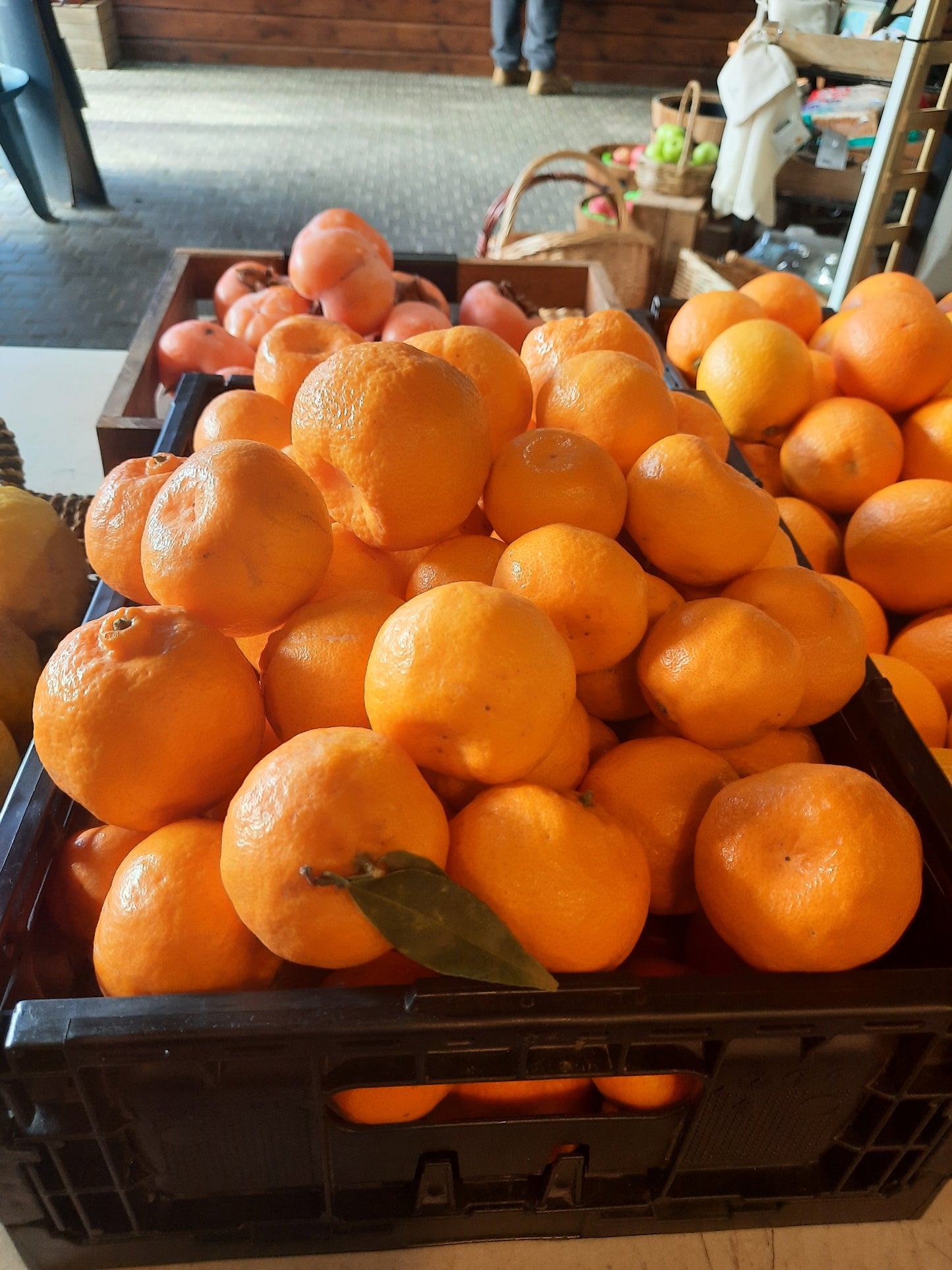 Hillside Harvest Mandarins