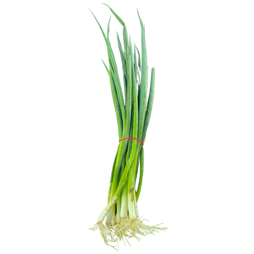 Shallots (bunch)