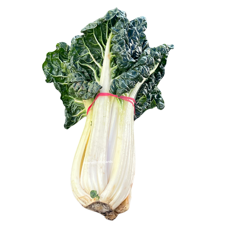 Silverbeet (bunch) β YourMarket