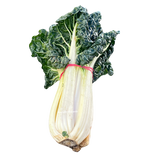 Silverbeet (bunch)