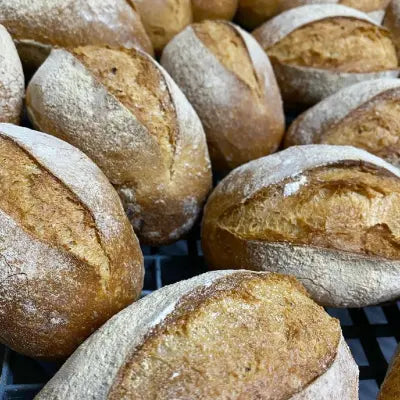 Sourdough Rolls (6 Pack)