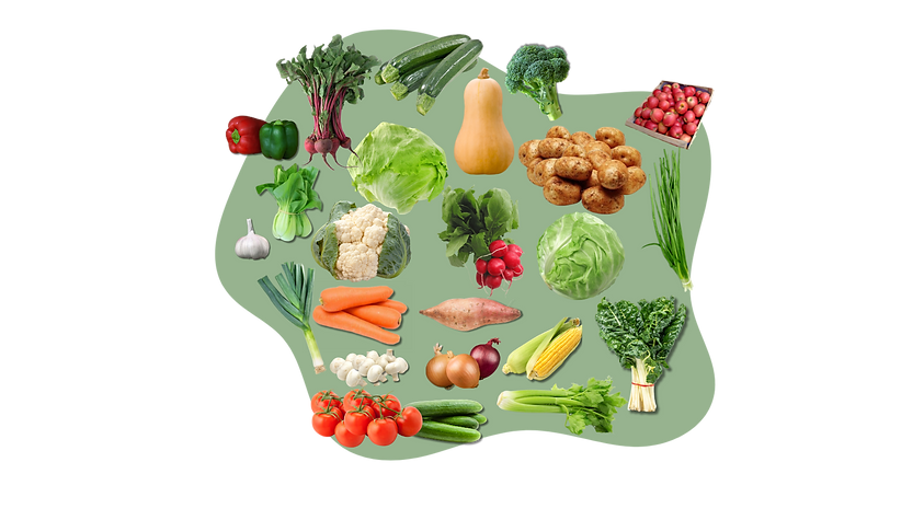 Veggie Box - Large