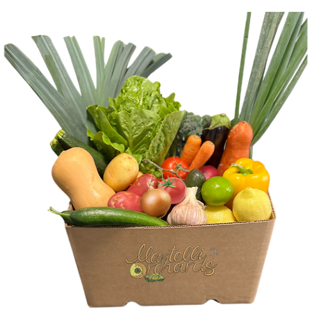 Veggie Box - Medium