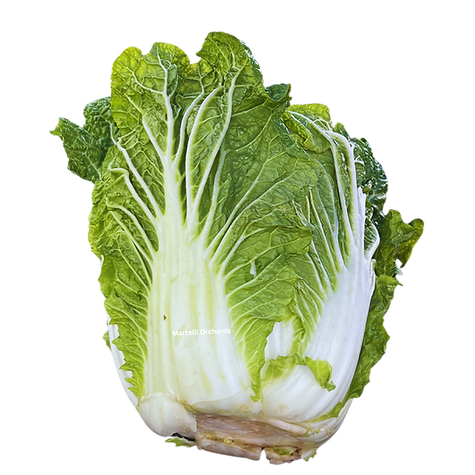 Wombok (ea)