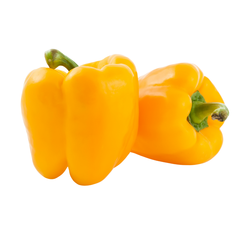 Yellow Capsicum